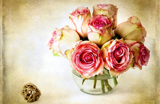 585035 (a): :2400x1560